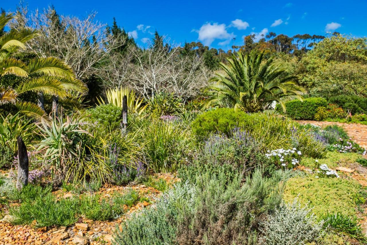 Napier Peace Valley Guesthouse מראה חיצוני תמונה